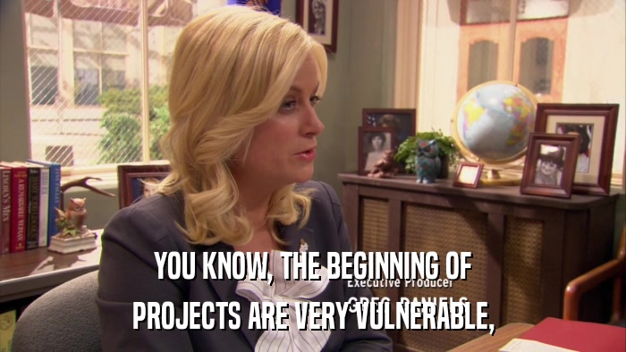 YOU KNOW, THE BEGINNING OF PROJECTS ARE VERY VULNERABLE, 