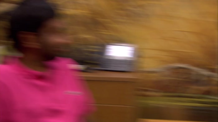 APRIL LUDGATE, 19.  