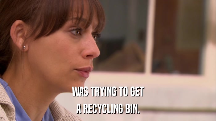 WAS TRYING TO GET A RECYCLING BIN. 