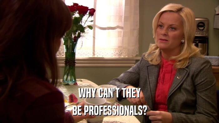 WHY CAN'T THEY BE PROFESSIONALS? 