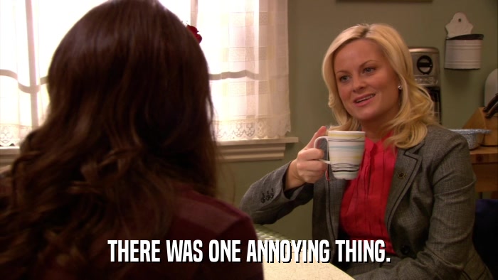 THERE WAS ONE ANNOYING THING.  