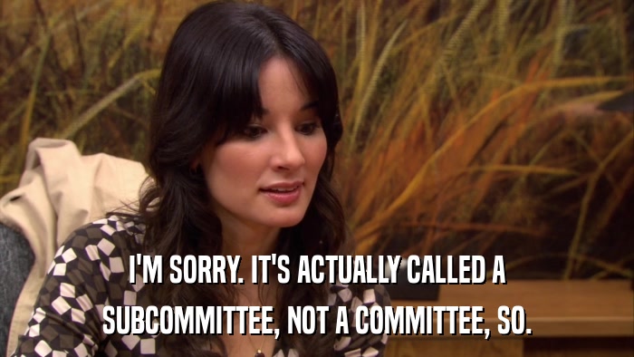 I'M SORRY. IT'S ACTUALLY CALLED A SUBCOMMITTEE, NOT A COMMITTEE, SO. 