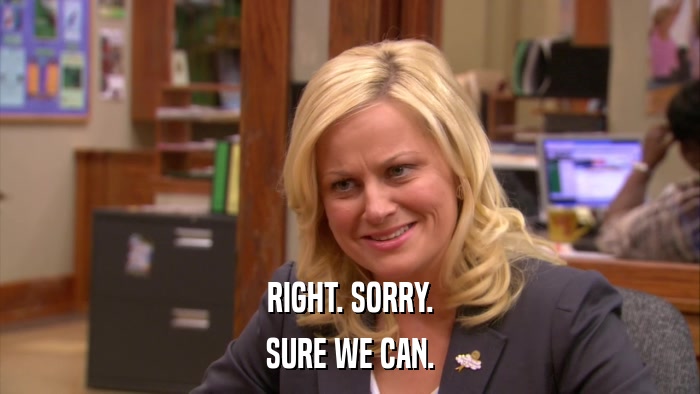 RIGHT. SORRY. SURE WE CAN. 