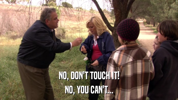NO, DON'T TOUCH IT! NO, YOU CAN'T... 