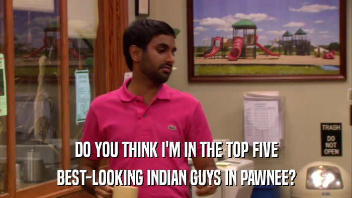 DO YOU THINK I'M IN THE TOP FIVE BEST-LOOKING INDIAN GUYS IN PAWNEE? 