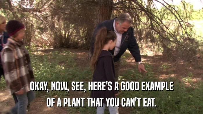 OKAY, NOW, SEE, HERE'S A GOOD EXAMPLE OF A PLANT THAT YOU CAN'T EAT. 