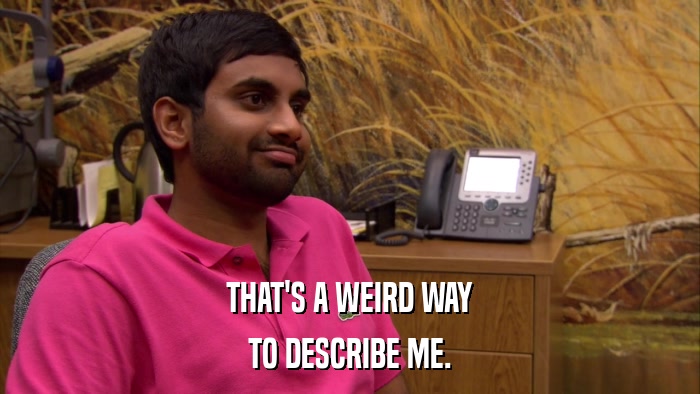 THAT'S A WEIRD WAY TO DESCRIBE ME. 