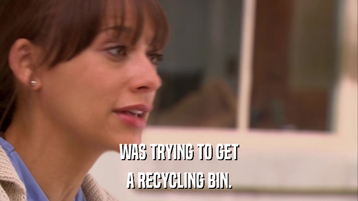 WAS TRYING TO GET A RECYCLING BIN. 