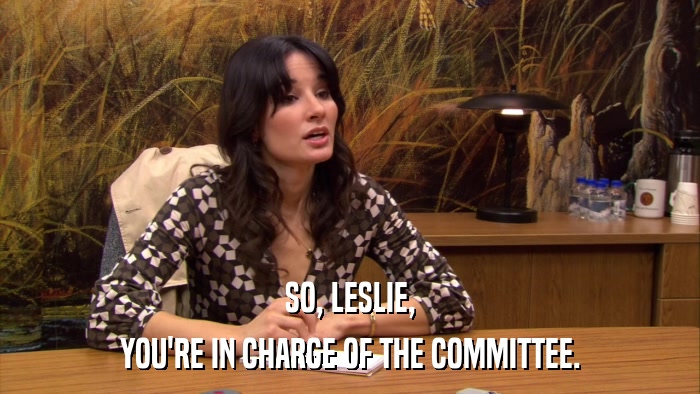 SO, LESLIE, YOU'RE IN CHARGE OF THE COMMITTEE. 