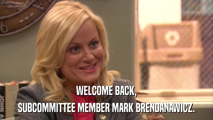 WELCOME BACK, SUBCOMMITTEE MEMBER MARK BRENDANAWICZ. 