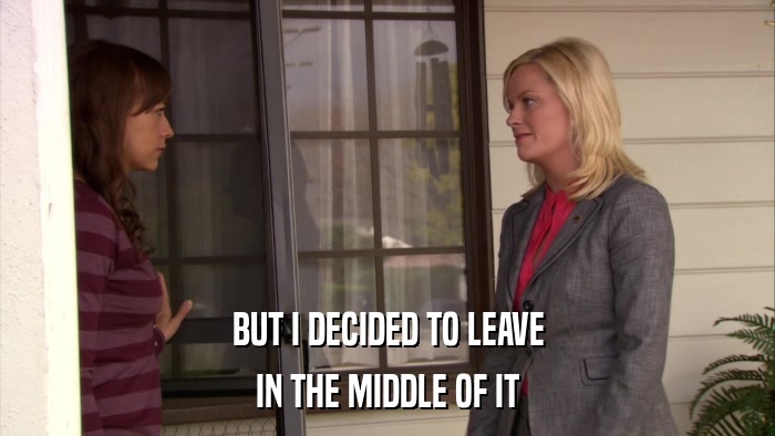 BUT I DECIDED TO LEAVE IN THE MIDDLE OF IT 
