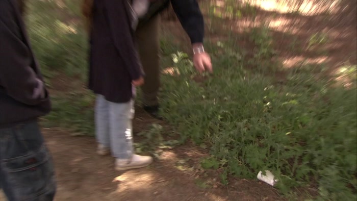 SO, TWO THINGS. ONE, IT'S POISONOUS. AND TWO, IT WOULD HURT. 