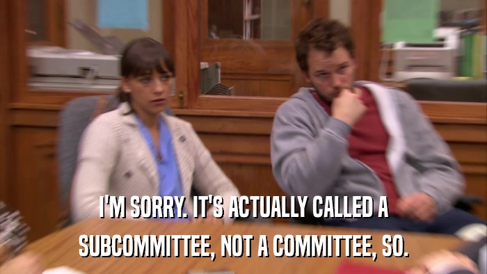 I'M SORRY. IT'S ACTUALLY CALLED A SUBCOMMITTEE, NOT A COMMITTEE, SO. 