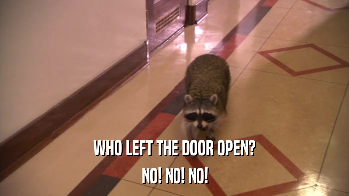 WHO LEFT THE DOOR OPEN? NO! NO! NO! 