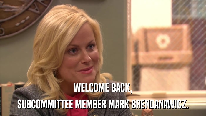 WELCOME BACK, SUBCOMMITTEE MEMBER MARK BRENDANAWICZ. 