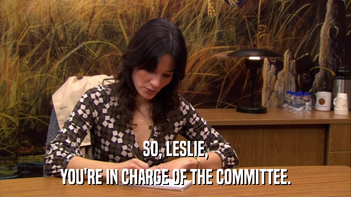 SO, LESLIE, YOU'RE IN CHARGE OF THE COMMITTEE. 