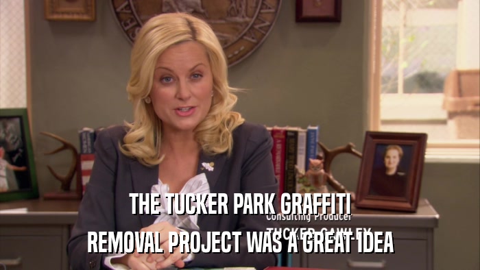 THE TUCKER PARK GRAFFITI REMOVAL PROJECT WAS A GREAT IDEA 