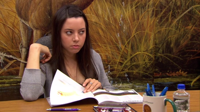 AND FINALLY, WE'VE GOT ANN PERKINS AND ANDY DWYER. 