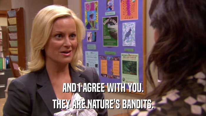 AND I AGREE WITH YOU. THEY ARE NATURE'S BANDITS. 