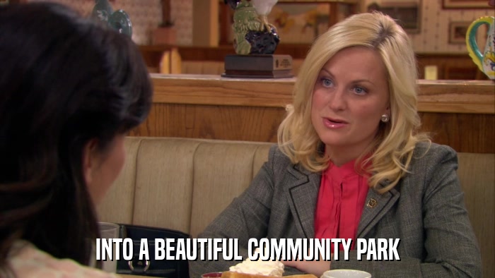 INTO A BEAUTIFUL COMMUNITY PARK  
