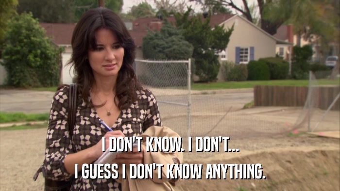 I DON'T KNOW. I DON'T... I GUESS I DON'T KNOW ANYTHING. 
