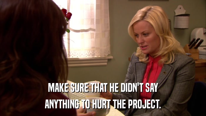 MAKE SURE THAT HE DIDN'T SAY ANYTHING TO HURT THE PROJECT. 