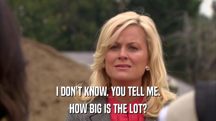 I DON'T KNOW. YOU TELL ME. HOW BIG IS THE LOT? 