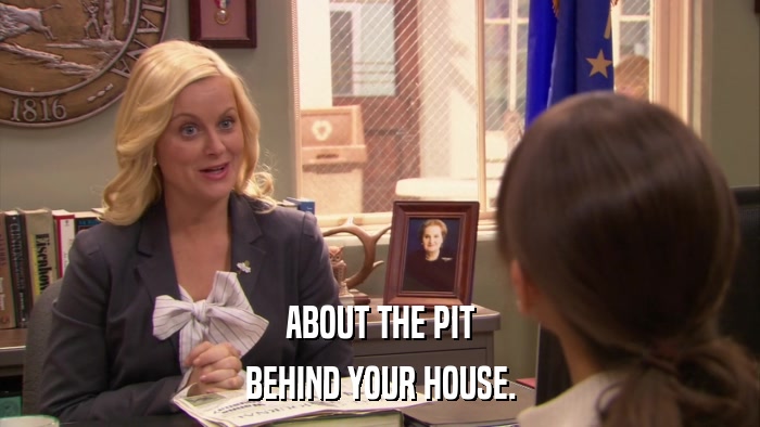 ABOUT THE PIT BEHIND YOUR HOUSE. 