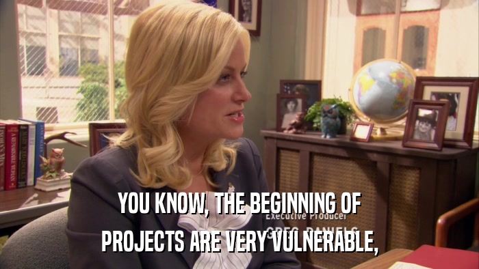 YOU KNOW, THE BEGINNING OF PROJECTS ARE VERY VULNERABLE, 