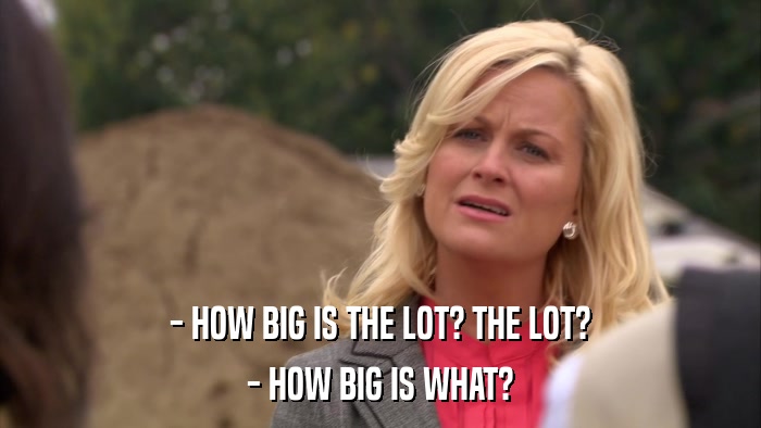 - HOW BIG IS THE LOT? THE LOT? - HOW BIG IS WHAT? 