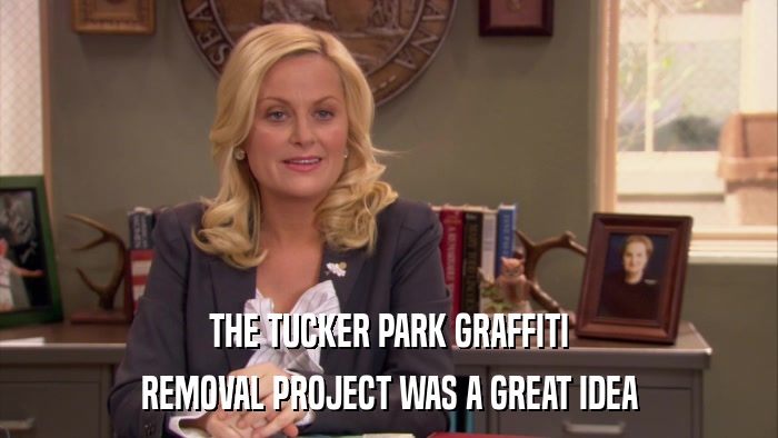 THE TUCKER PARK GRAFFITI REMOVAL PROJECT WAS A GREAT IDEA 