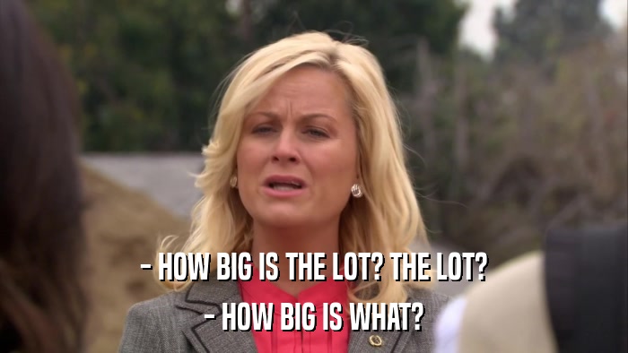 - HOW BIG IS THE LOT? THE LOT? - HOW BIG IS WHAT? 