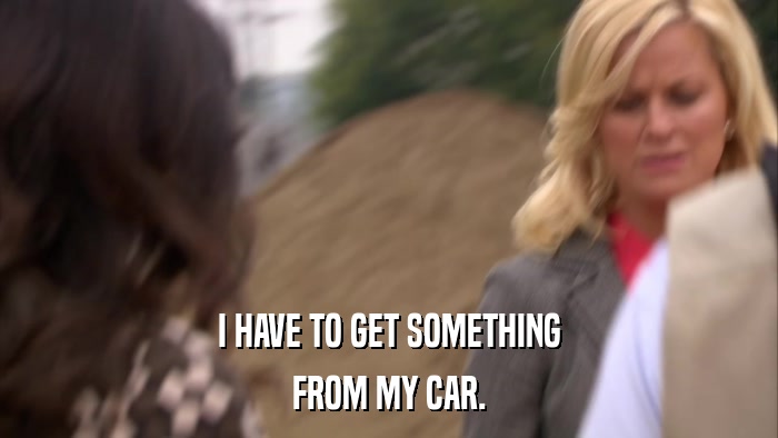 I HAVE TO GET SOMETHING FROM MY CAR. 