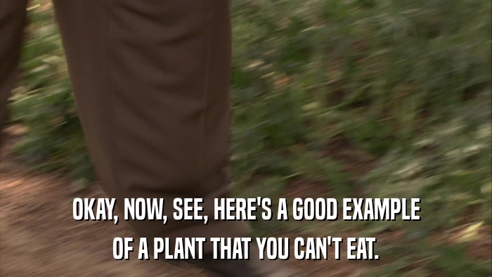 OKAY, NOW, SEE, HERE'S A GOOD EXAMPLE OF A PLANT THAT YOU CAN'T EAT. 
