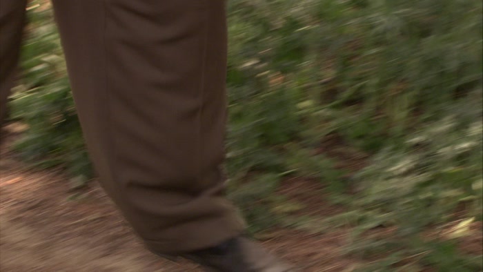 OKAY, NOW, SEE, HERE'S A GOOD EXAMPLE OF A PLANT THAT YOU CAN'T EAT. 