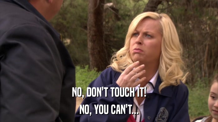 NO, DON'T TOUCH IT! NO, YOU CAN'T... 