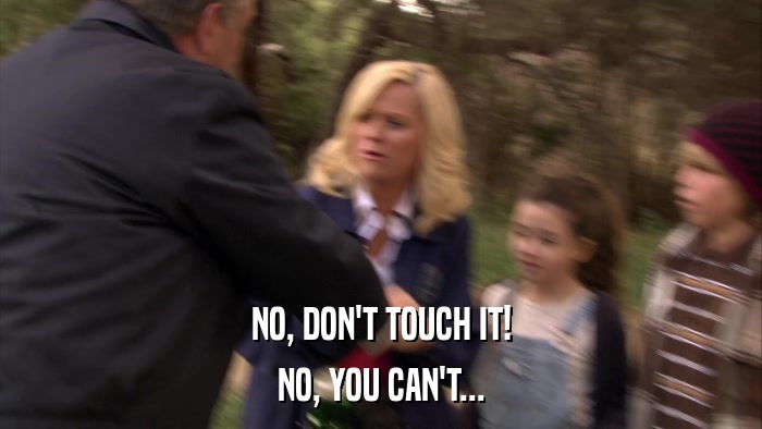 NO, DON'T TOUCH IT! NO, YOU CAN'T... 