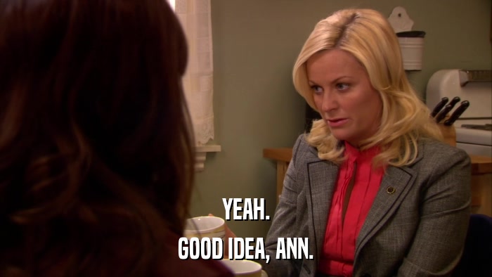 YEAH. GOOD IDEA, ANN. 