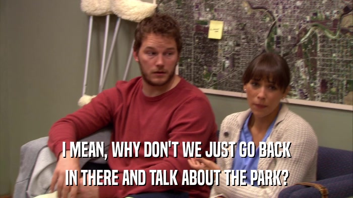 I MEAN, WHY DON'T WE JUST GO BACK IN THERE AND TALK ABOUT THE PARK? 