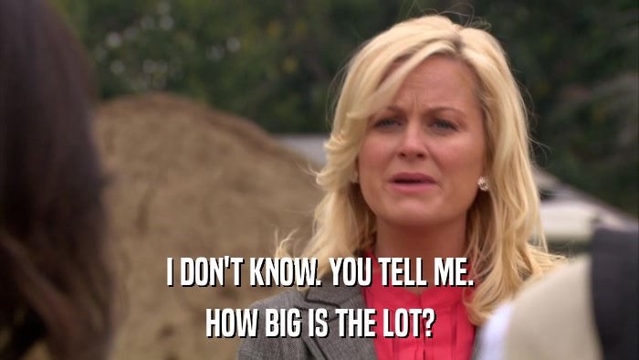 I DON'T KNOW. YOU TELL ME. HOW BIG IS THE LOT? 