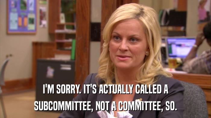 I'M SORRY. IT'S ACTUALLY CALLED A SUBCOMMITTEE, NOT A COMMITTEE, SO. 