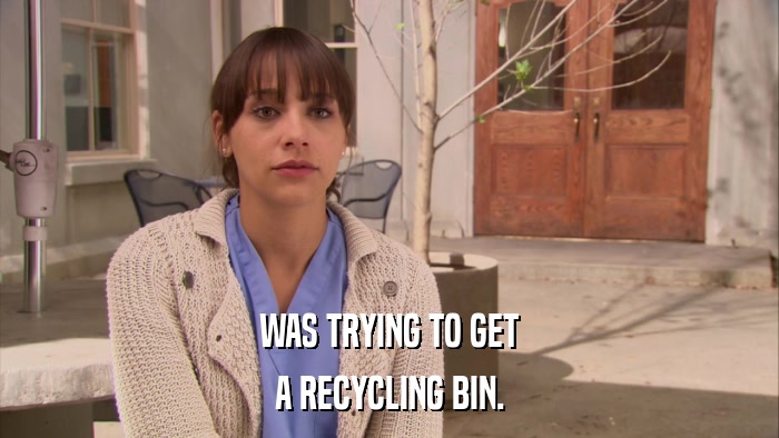 WAS TRYING TO GET A RECYCLING BIN. 