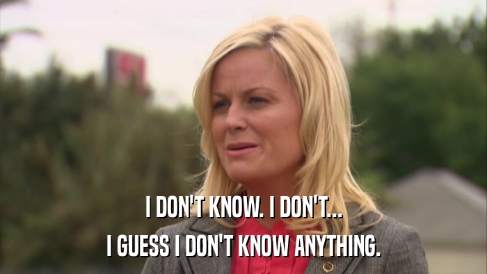 I DON'T KNOW. I DON'T... I GUESS I DON'T KNOW ANYTHING. 