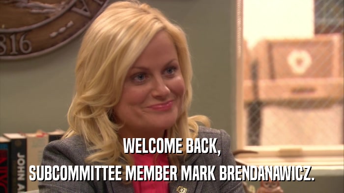 WELCOME BACK, SUBCOMMITTEE MEMBER MARK BRENDANAWICZ. 