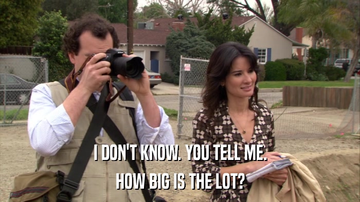 I DON'T KNOW. YOU TELL ME. HOW BIG IS THE LOT? 