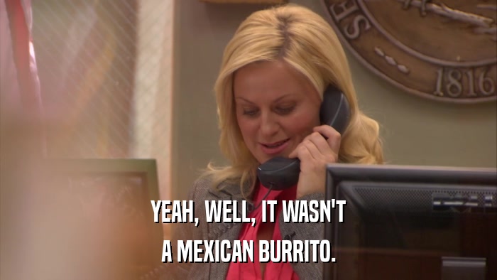 YEAH, WELL, IT WASN'T A MEXICAN BURRITO. 