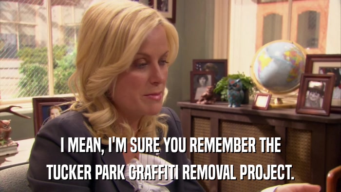 I MEAN, I'M SURE YOU REMEMBER THE TUCKER PARK GRAFFITI REMOVAL PROJECT. 