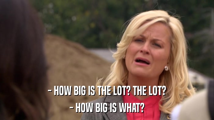 - HOW BIG IS THE LOT? THE LOT? - HOW BIG IS WHAT? 