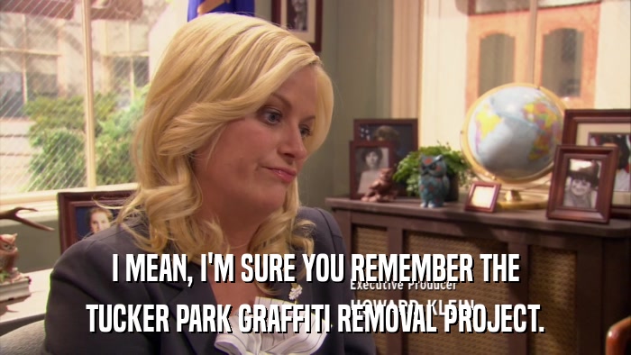 I MEAN, I'M SURE YOU REMEMBER THE TUCKER PARK GRAFFITI REMOVAL PROJECT. 