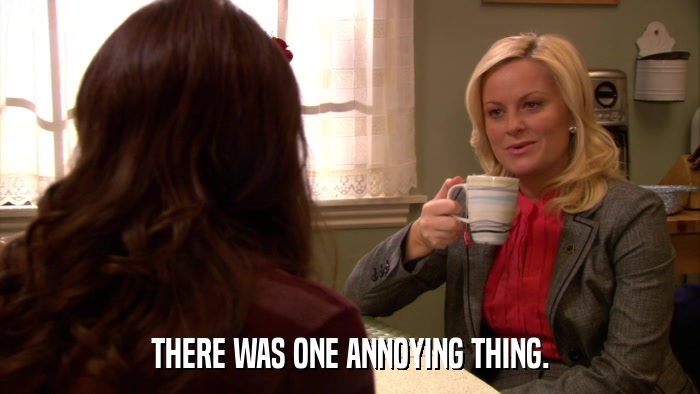 THERE WAS ONE ANNOYING THING.  